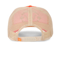 5 Panel Curvebill Mesh Back Cap