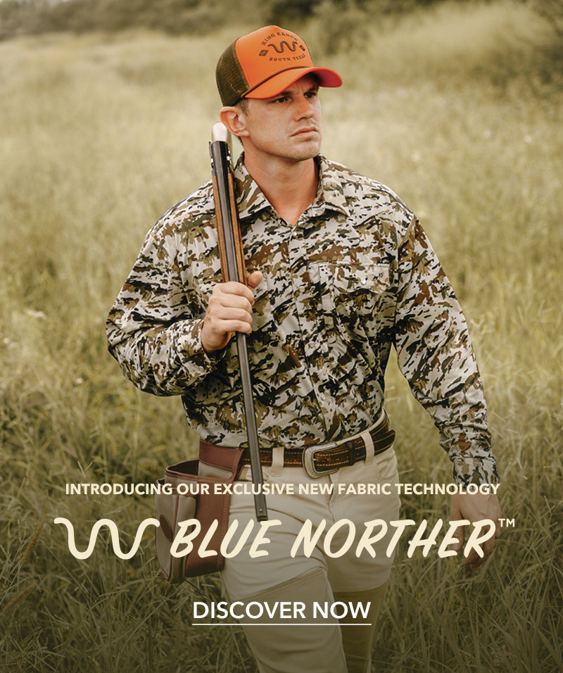 Blue Norther &#8482; Promo