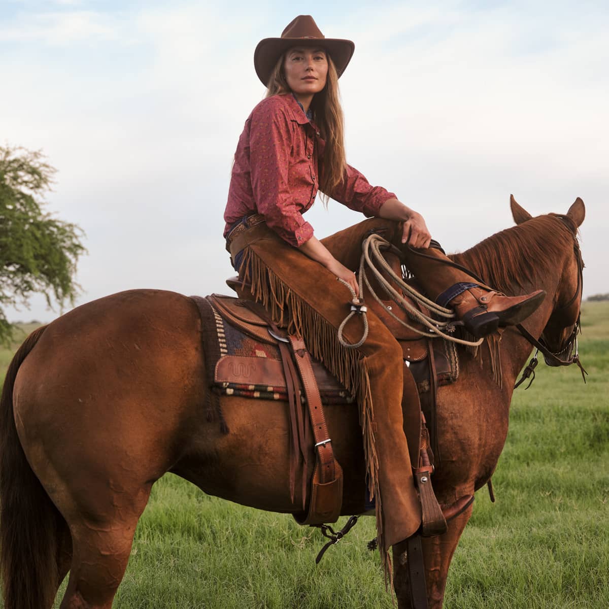 Photo of Ranch Collection